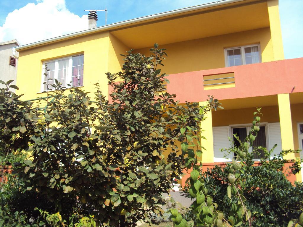 Apartments Mira Biograd Na Moru Zewnętrze zdjęcie